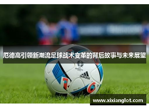 厄德高引领新潮流足球战术变革的背后故事与未来展望